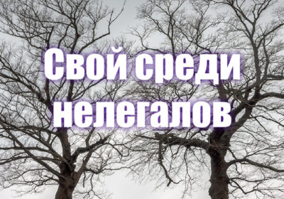 Свой среди нелегалов